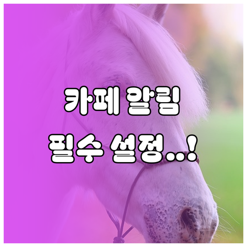 네이버 카페 앱 설치 및 관심 키워드..