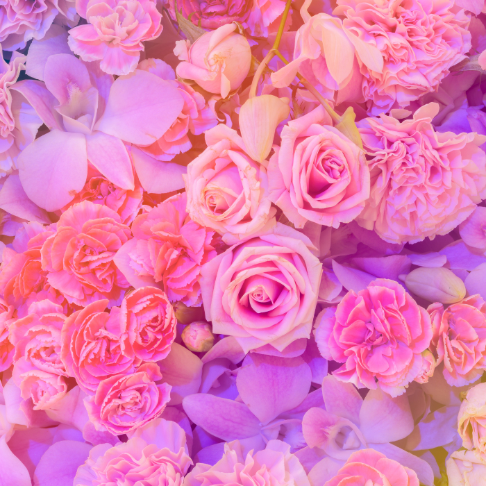 여자아이태몽_종류_해석