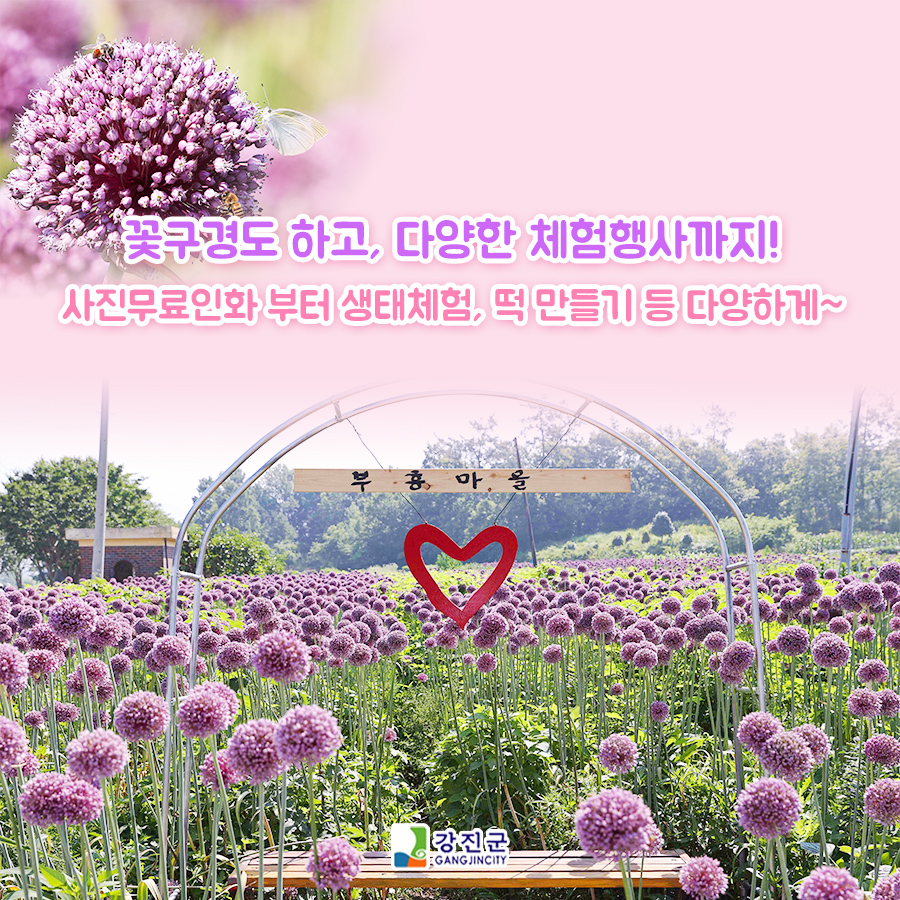 행사