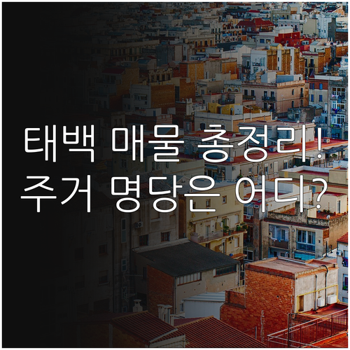 태백 교차로 부동산 매물 종류와 지역..