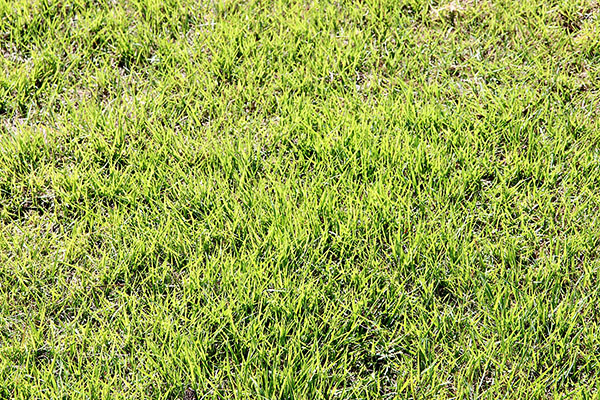 충청북도 음성군 맹동파크골프장 소개