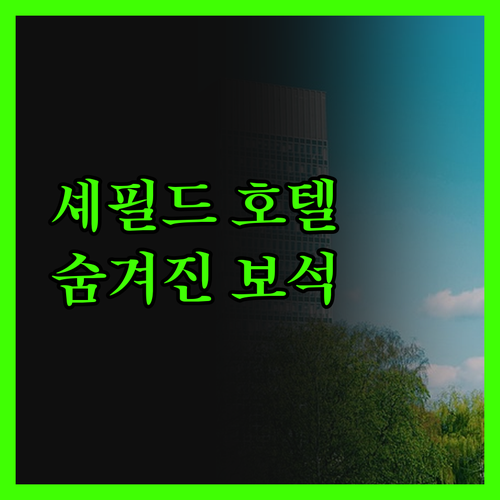 셰필드 호텔 완전정복! ✨ 숨겨진 보