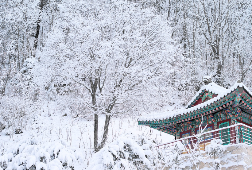설경이 아름다운 사찰 여행