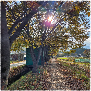 남원실상사