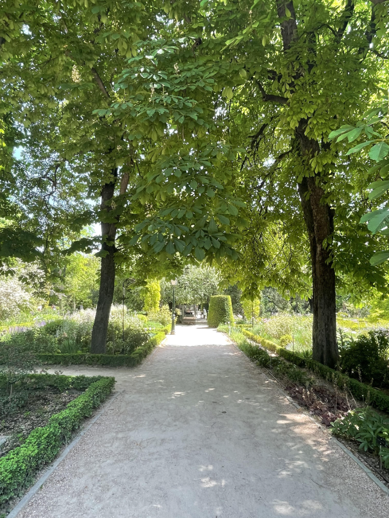 마드리드 왕립식물원