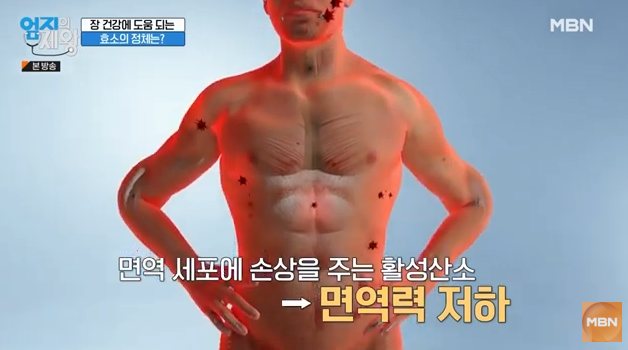 카무트, 카무트 효소