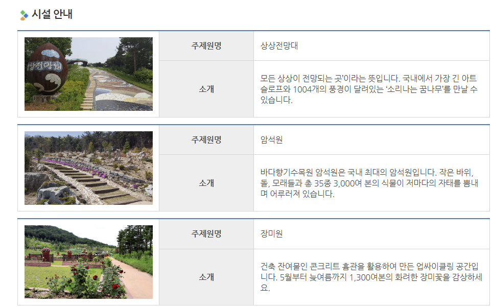 Alt 속성 문제 해결 설명 이미지