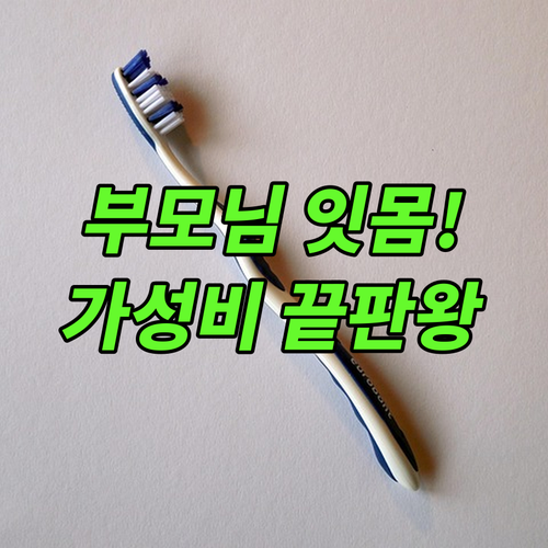 부모님 잇몸 건강 선물 추천 가성비 ..