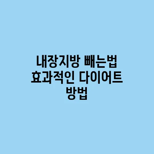 내장지방 빼는법 효과적인 다이어트 방법