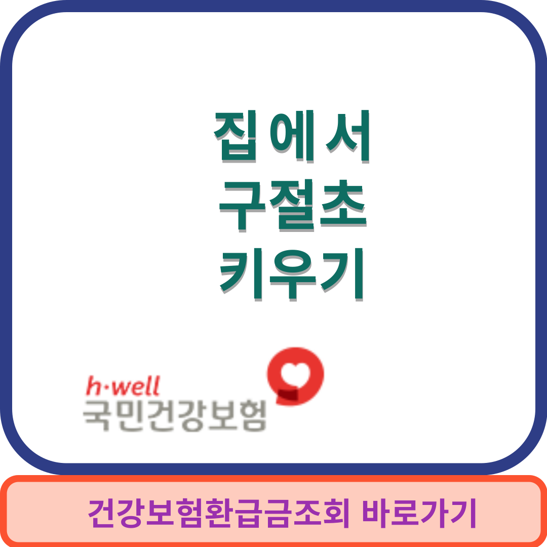 구절초키우기썸네일
