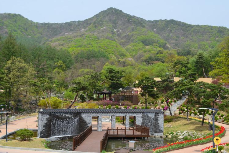 양평 용문산 산나물축제