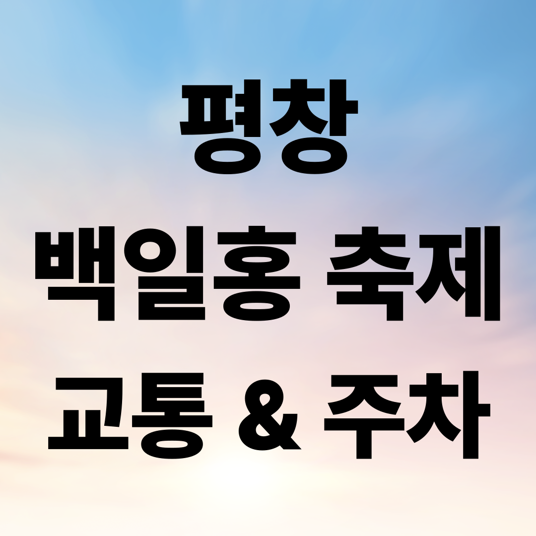 평창 백일홍 축제 교통·주차