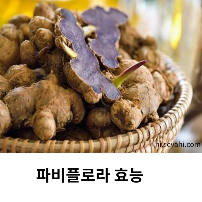 흑생강 효능 슈퍼푸드 칼로리 권장량_1