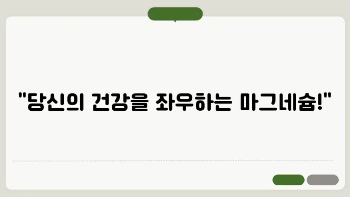 마그네슘 하루 권장량