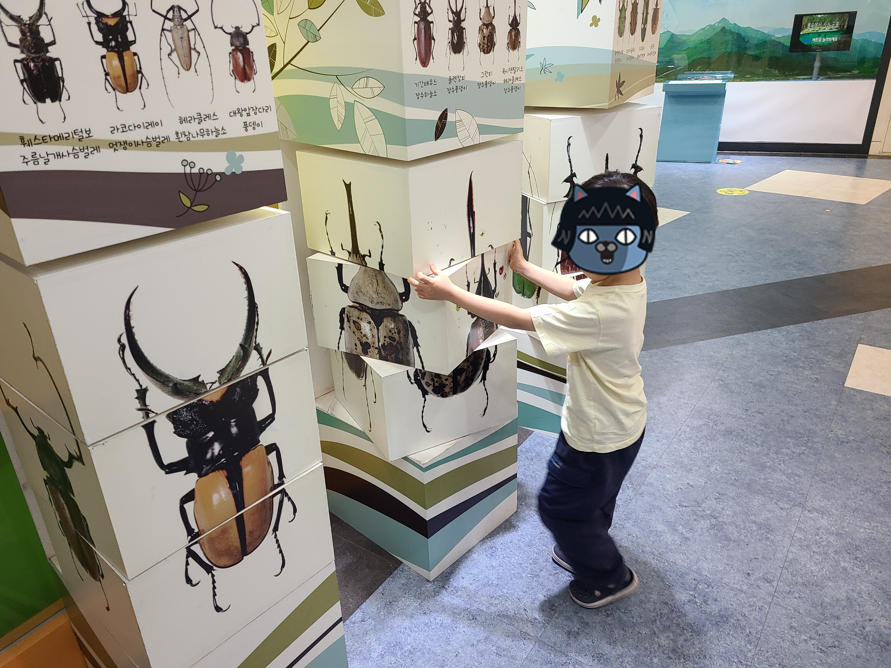 양평곤충박물관 곤충전시실 체험 전시물
