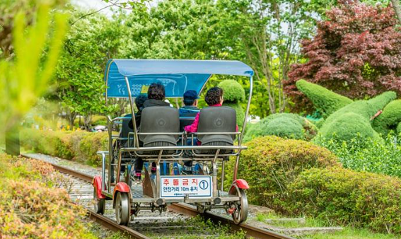 곡성 장미축제 기간