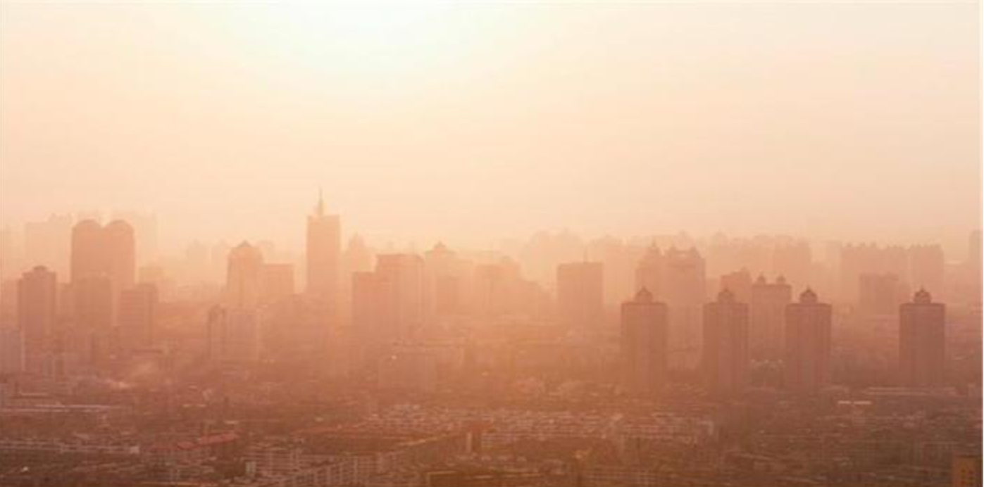 최근 개정과 변화의 흐름