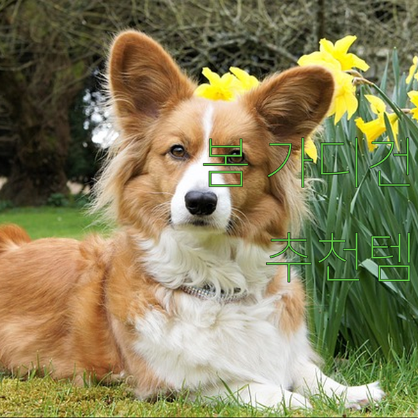 가디건 추천! 봄맞이 스타일 완성하기