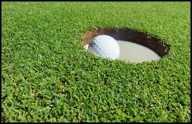 파크골프 용어 정리 (+ 해설 )