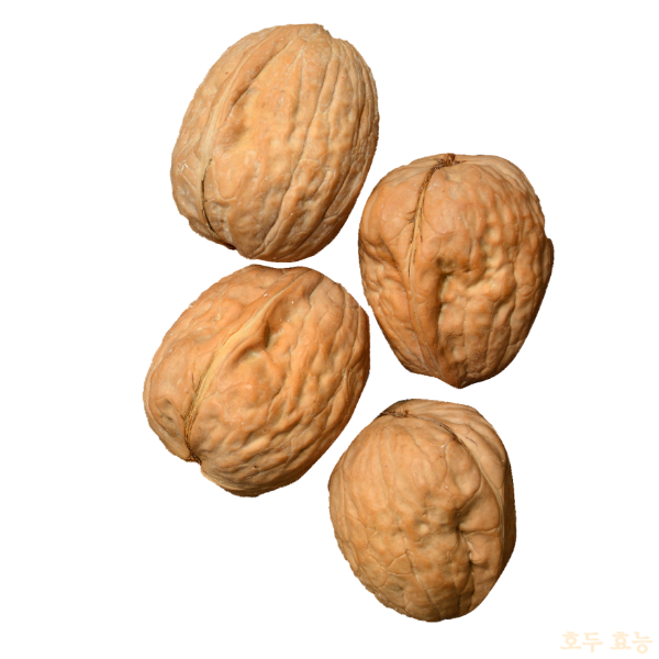 호두 효능 : 호두 효능과 부작용 알고 드세요!