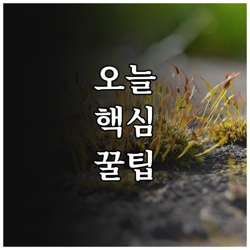 2025 고흥군 저소득층 명절 지원 ..