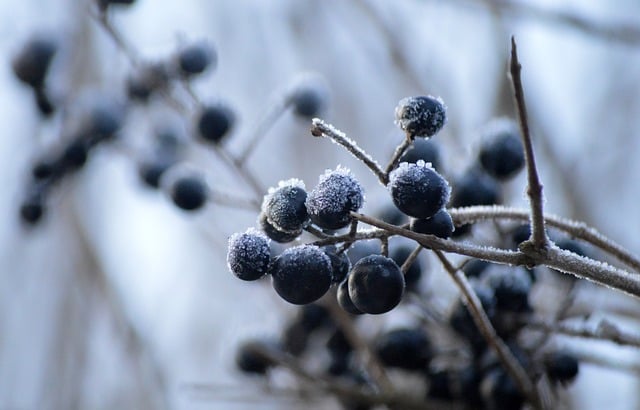 2월 날씨 예보 일주일 전망