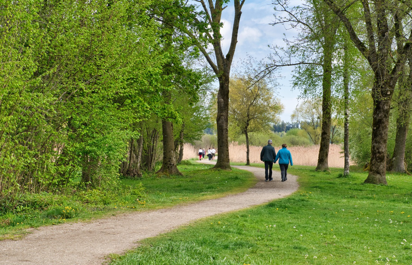 점심 산책 중 걷기 명상