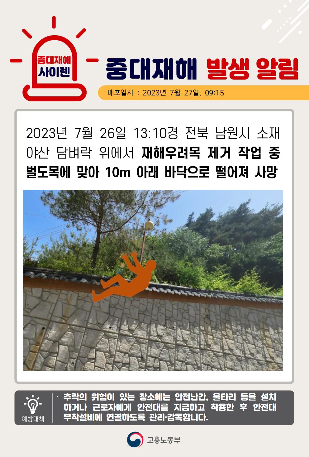 재해우려목 제거 작업 중 벌도목에 맞아 떨어짐(10m)