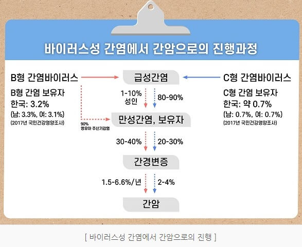 간암의 원인