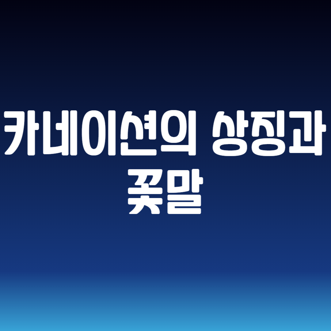 카네이션의 상징과 꽃말