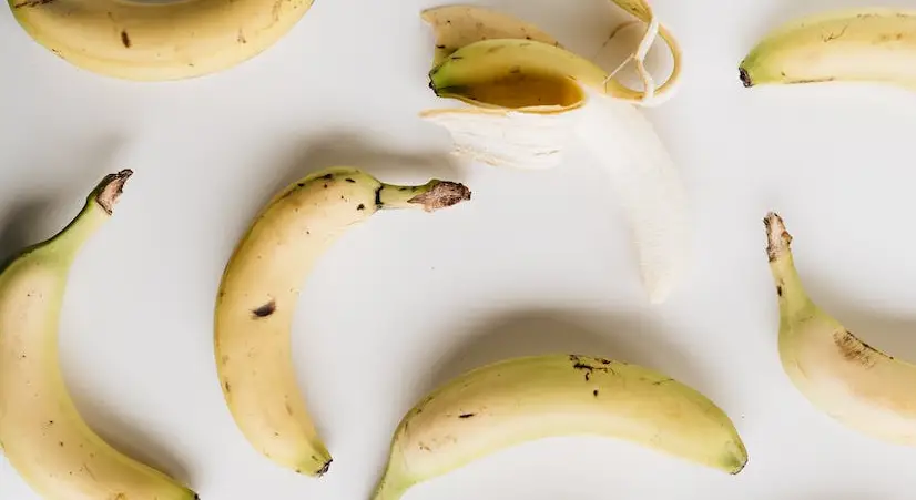 강아지가 먹어도 되는 과일 바나나 사진