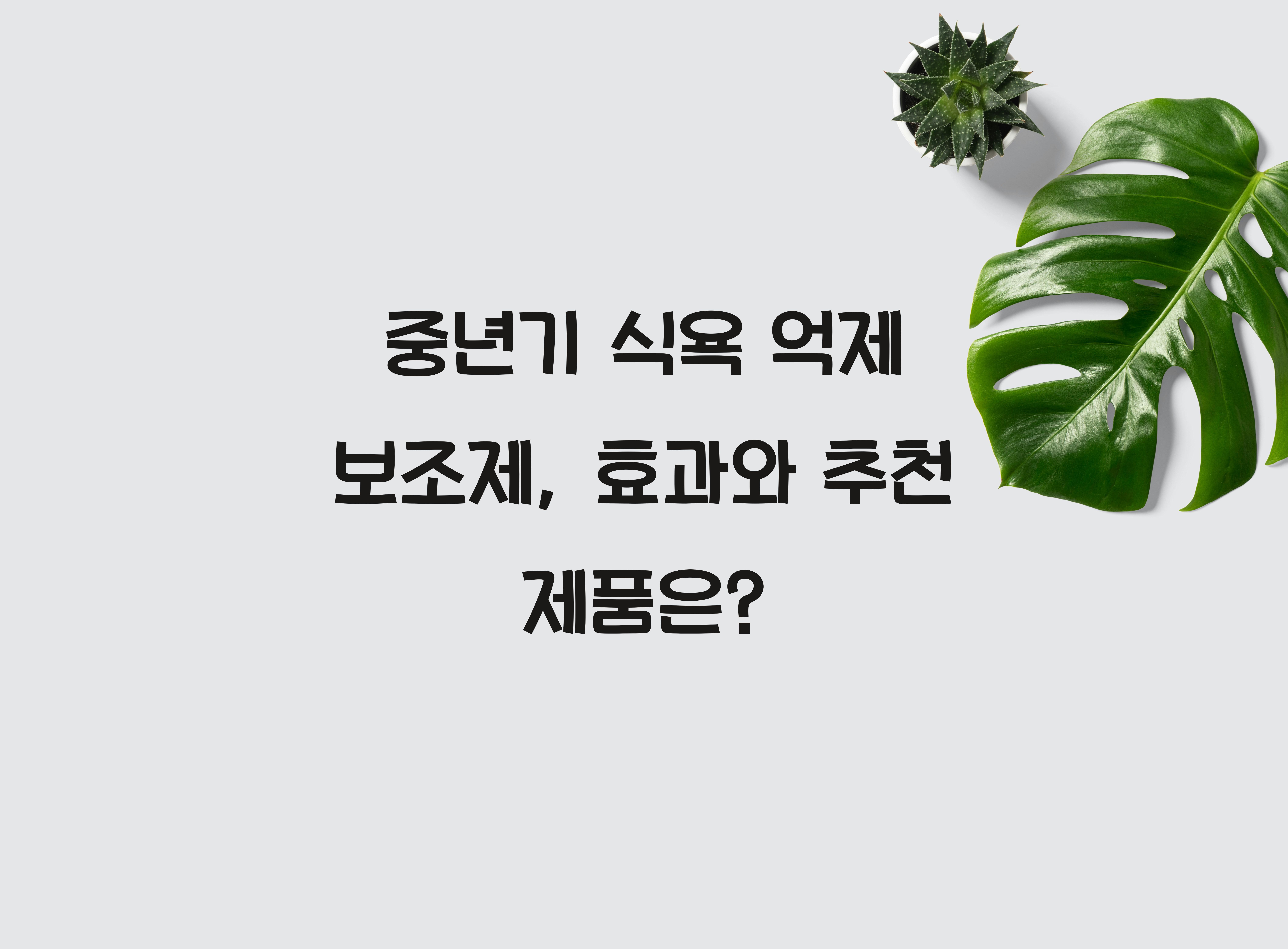 중년기 식욕 억제 보조제