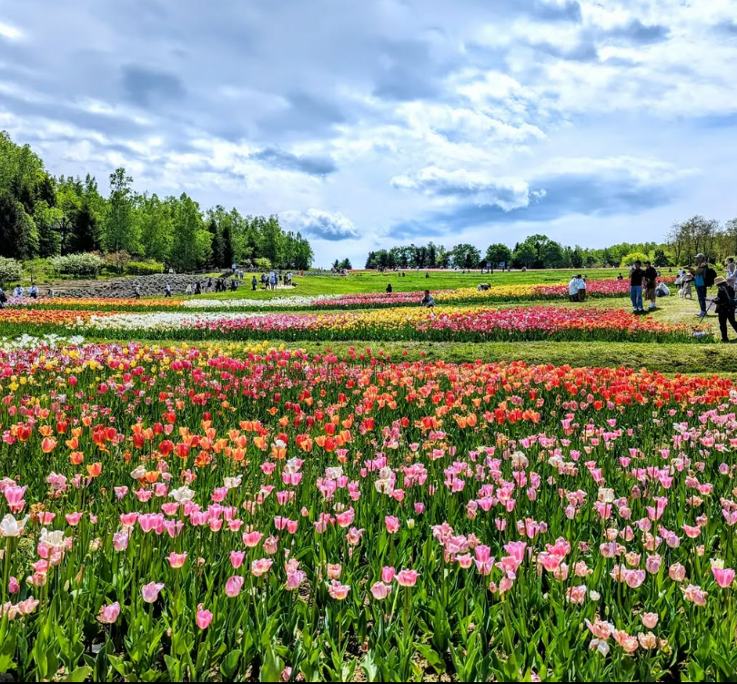 삿포로 가족여행 아이랑 가볼만한 곳 17