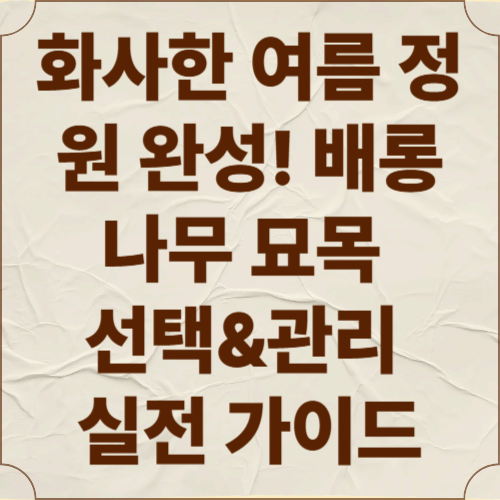 화사한 여름 정원 완성!
배롱나무 묘목 선택&관리 실전 가이드