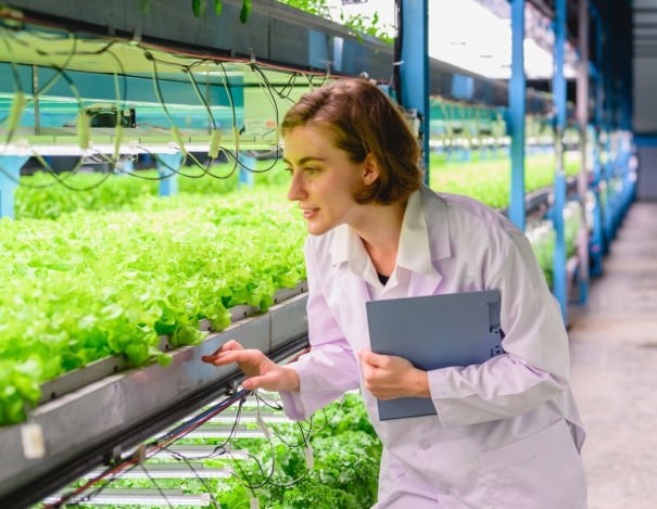 스마트팜 에서 일하는 젊은여자