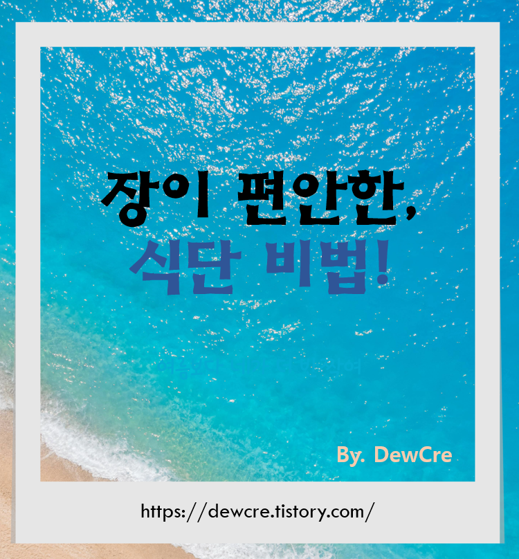 장 건강을 위한 프리바이오틱스 식단의 모든 것