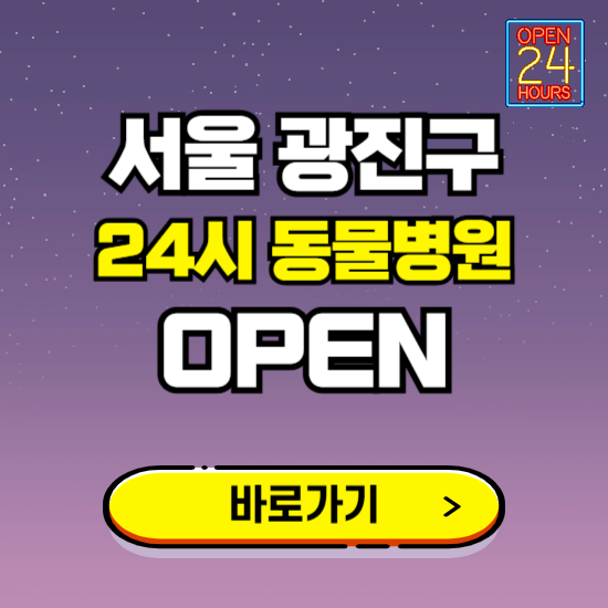 서울 광진구 24시 동물병원 진료하는 곳 ❘ 설날 휴일 야간 심야 문여는곳 찾기 ❘ 응급진료