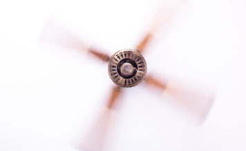 파충류 무더위 여름 생존 꿀팁 (에어컨 X, 꿀템 활용하기) (이미지 pixabay)