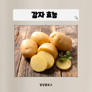 감자 효능
