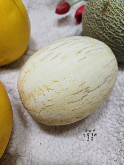달콤한 고령 백자멜론