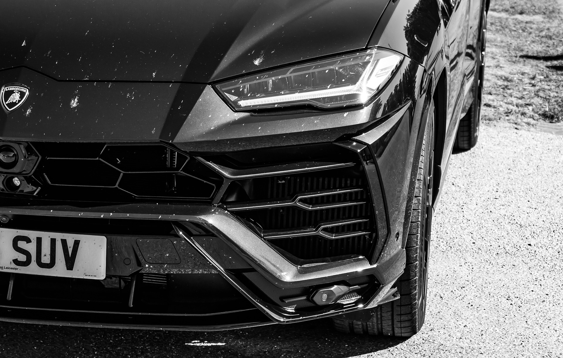 캠핑하기좋은차