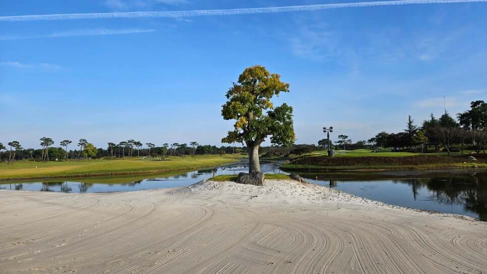 골프장 경험담 당진 파인스톤cc 대형 멋진 정원에서 환상의 골프 운동
