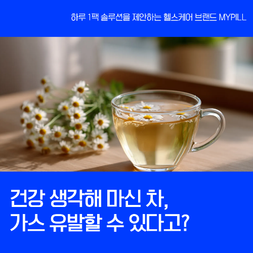가스 유발하는 차