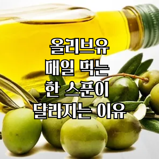 올리브유 한 스푼으로 달라지는 식탁