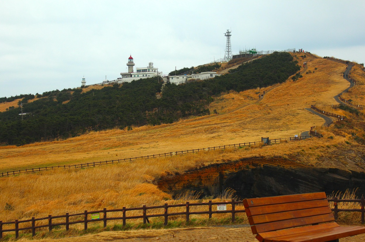 제주도 관련 사진