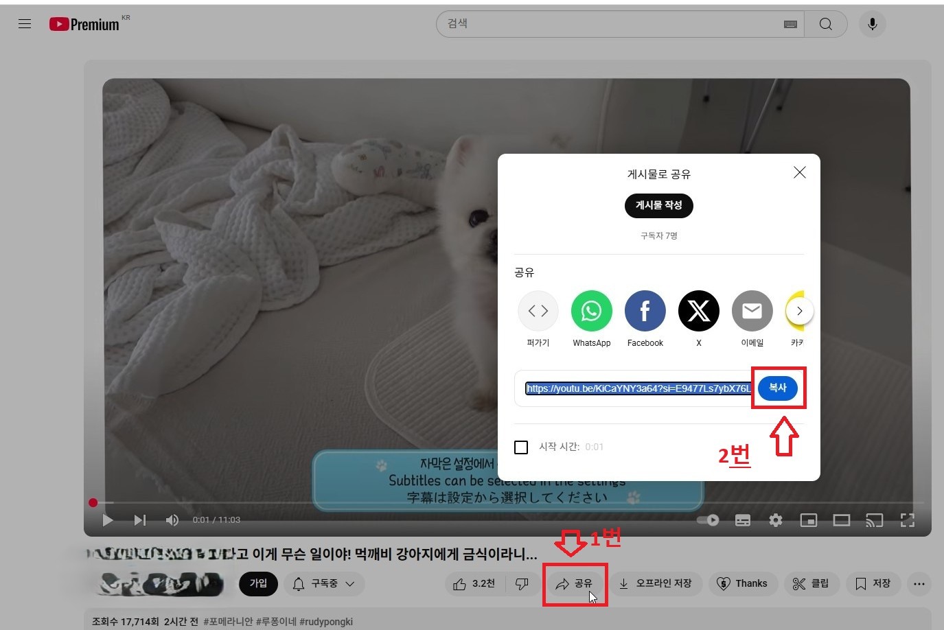 유튜브 다운로드