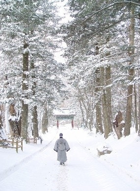 겨울 산사 템플스테이 명소&amp;#44; 고요 속 나를 찾는 사색 여행!