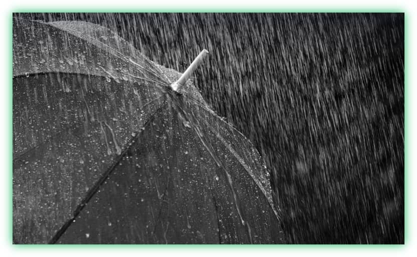 장마철 집안의 습기와 곰팡이 방지, 관리 및 제거 방법