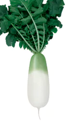무사진3