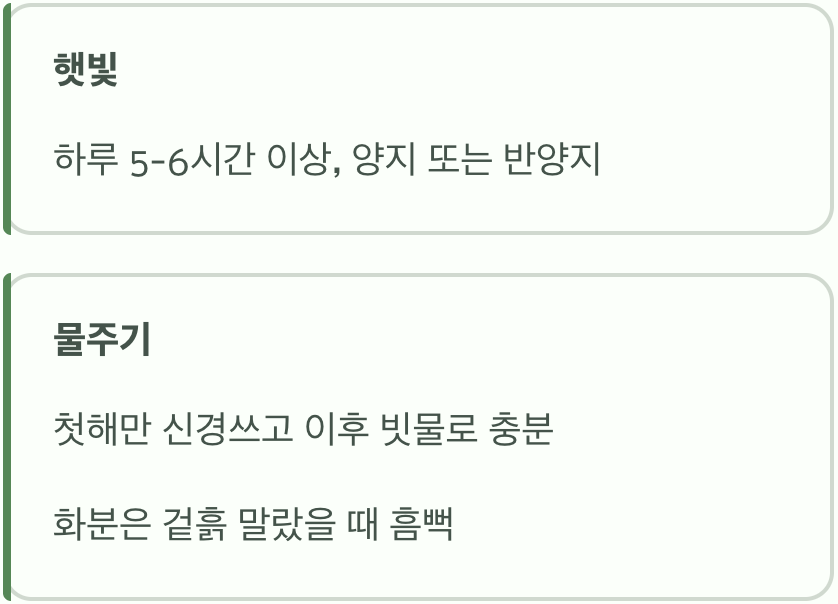 햇빛과 물, 이것만 기억하세요